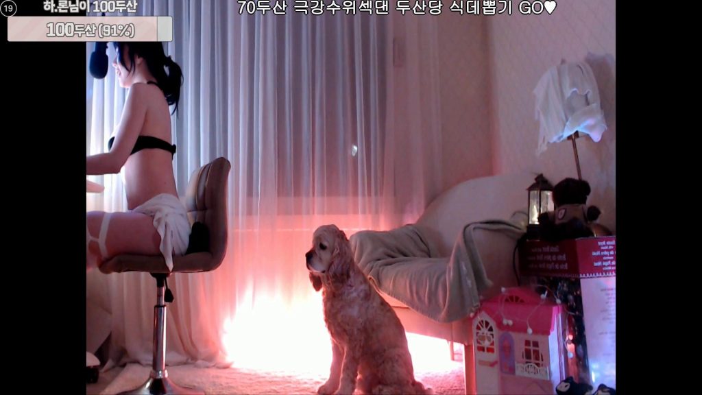 图片[41]-每日录制合集021期-神颜社